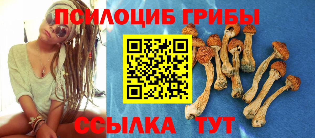 Псилоцибиновые грибы мухоморы  Вход с VPN  Псилоцибиновые грибы GOLDEN TEACHER  Стрежевой 