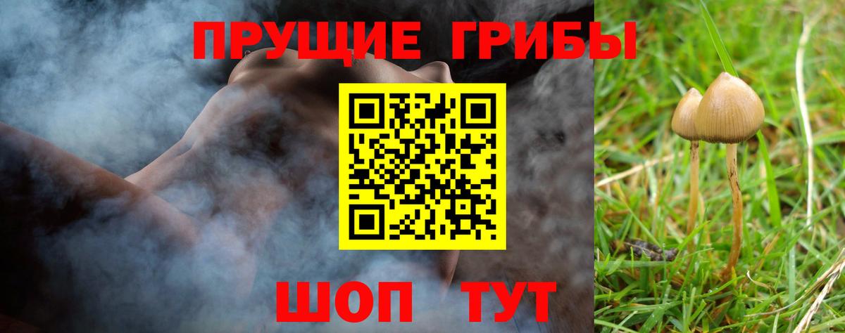 Псилоцибиновые грибы мухоморы Стрежевой